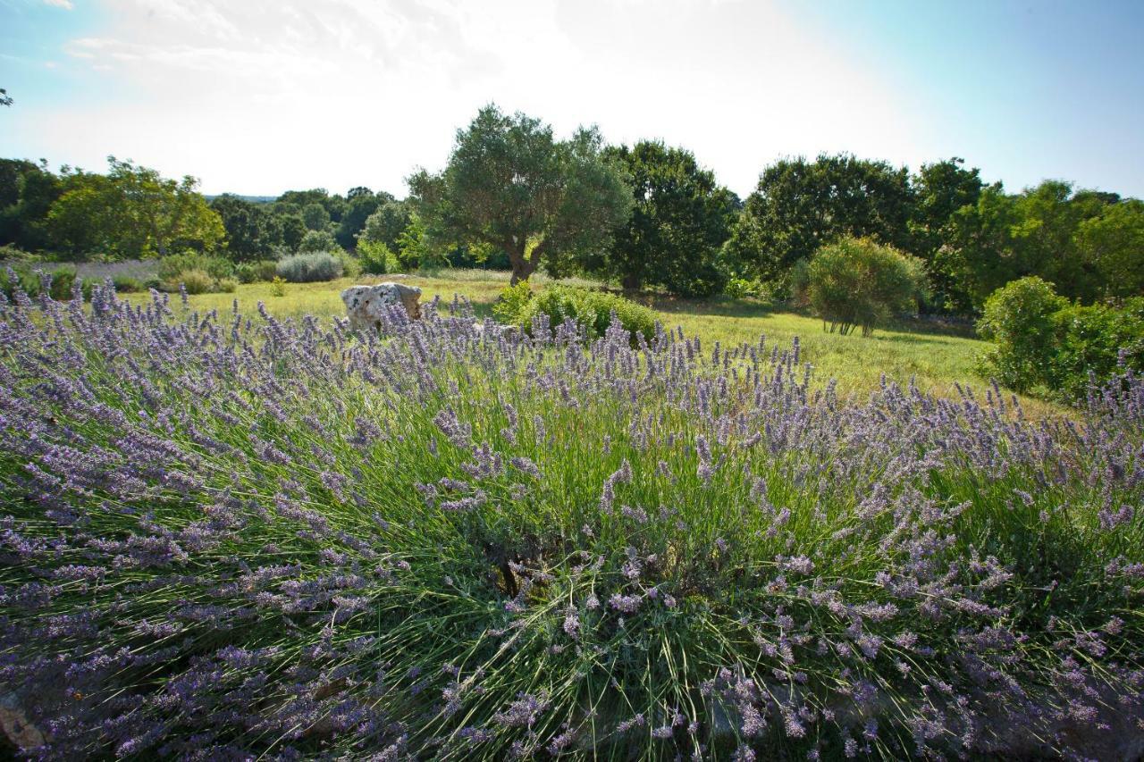 Podere Papilio Альберобелло Екстер'єр фото